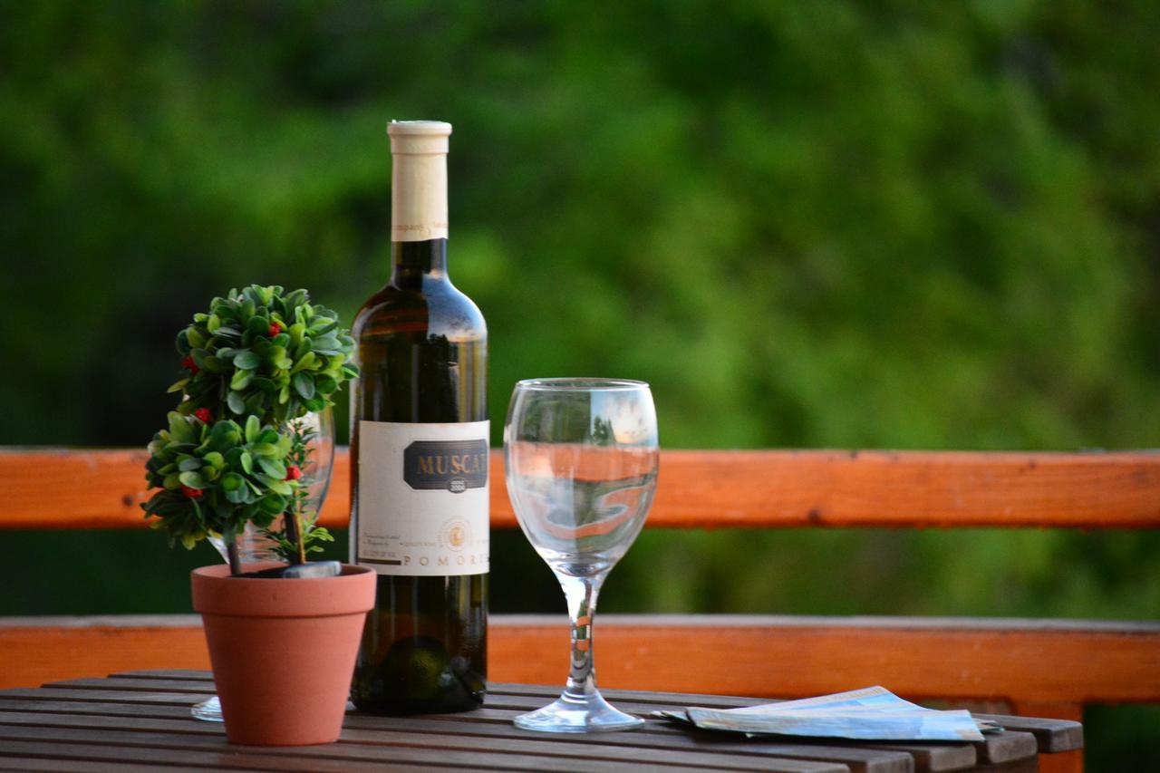 Guest house Paradise Nest Ohrid